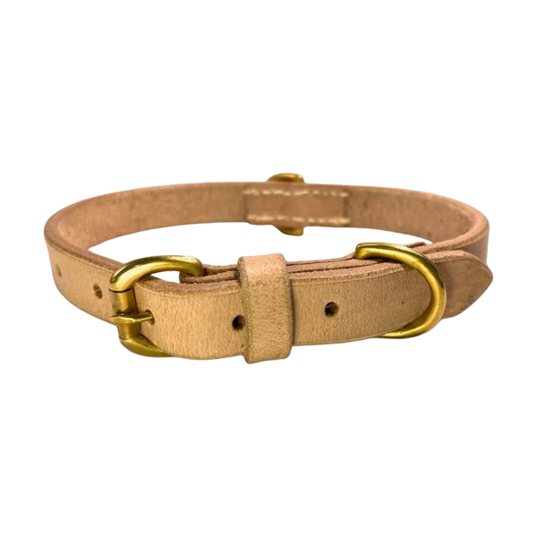 Georgie Paws BALD Dog Collar - RAW