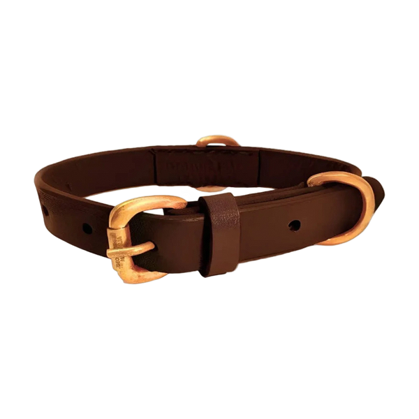 Georgie Paws BALD Collar - CHICORY