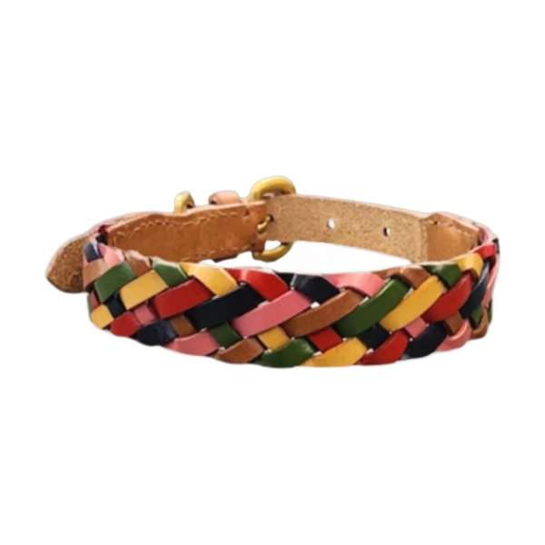 Georgie Paws CREDENCE Dog Collar