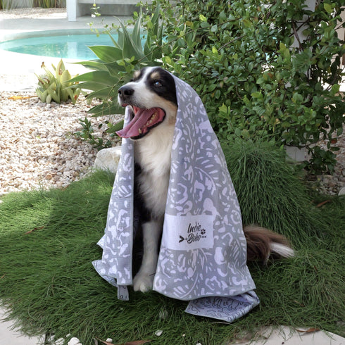 Dog wrapped in an Indie Boho Neutral Brushstrokes towel