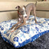 Dog relaxing on an Indie Boho Noosa Nights bed