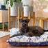 Schnauzer on an Indie Boho Noosa Nights bed