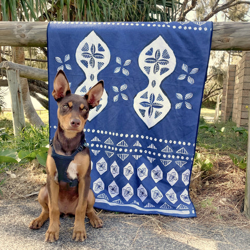 Kelpie puppy in an Indie Boho Noosa Nights towel