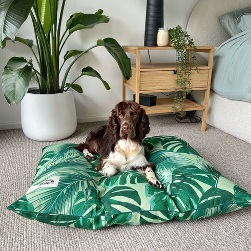Dog relaxing on an Indie Boho Tropical Leaves XL bed